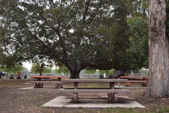 Enlarge photo 107