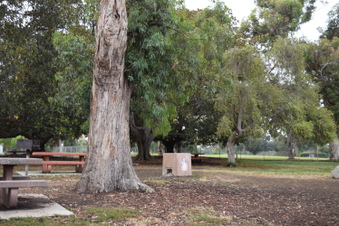 Enlarge photo 108