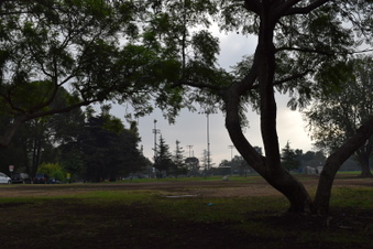 Enlarge photo 109