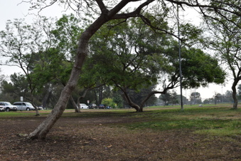 Enlarge photo 111
