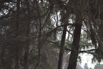 Enlarge photo 115