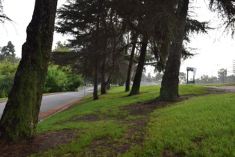 Enlarge photo 116