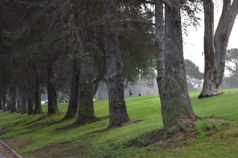 Enlarge photo 118