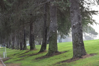 Enlarge photo 119