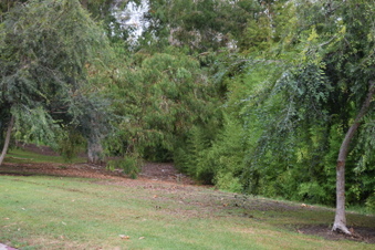 Enlarge photo 120