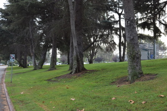 Enlarge photo 123