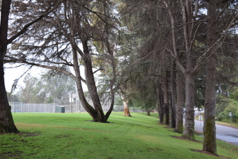 Enlarge photo 129