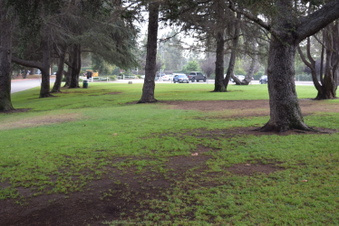 Enlarge photo 131