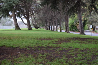 Enlarge photo 136