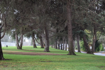 Enlarge photo 138
