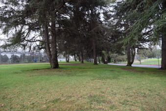Enlarge photo 139