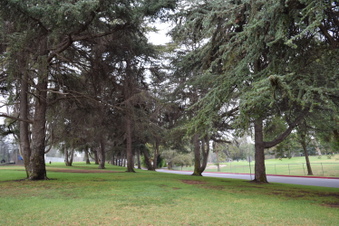 Enlarge photo 140