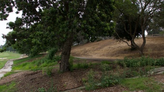 Enlarge photo 6
