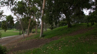 Enlarge photo 16