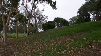 Enlarge photo 17
