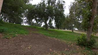 Enlarge photo 18