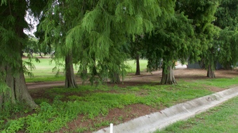 Enlarge photo 23