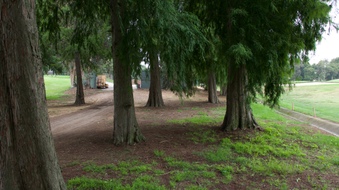 Enlarge photo 24