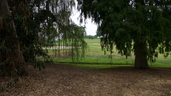 Enlarge photo 27