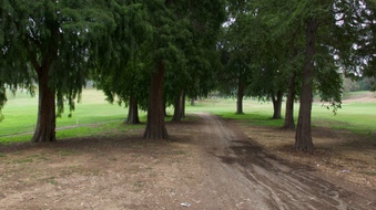 Enlarge photo 28