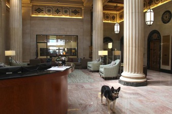 Enlarge photo 59
