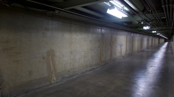 Enlarge photo 43