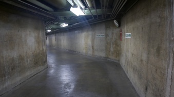 Enlarge photo 45