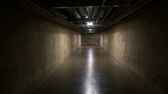 Enlarge photo 50