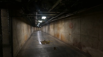 Enlarge photo 54