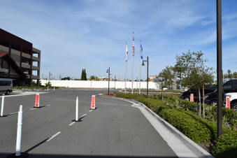 Enlarge photo 194
