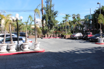 Enlarge photo 49
