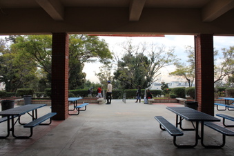 Enlarge photo 4