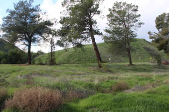 Enlarge photo 8