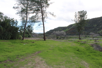 Enlarge photo 10