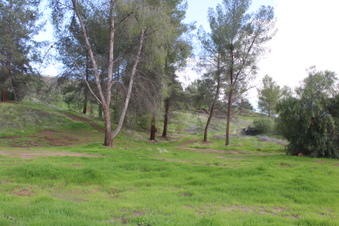 Enlarge photo 12