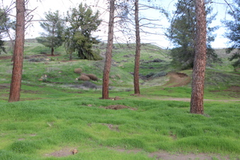 Enlarge photo 14