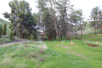 Enlarge photo 13