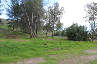 Enlarge photo 15