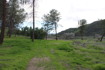 Enlarge photo 16