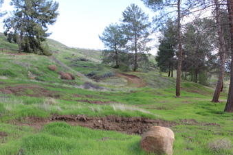 Enlarge photo 18