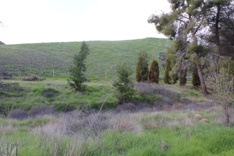 Enlarge photo 21