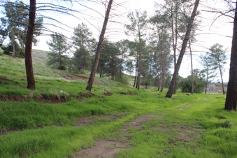 Enlarge photo 22