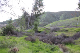 Enlarge photo 25