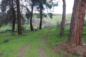 Enlarge photo 26
