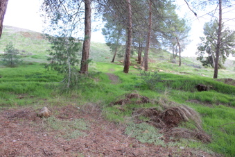 Enlarge photo 27