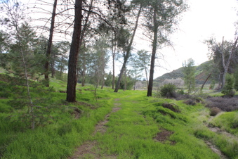 Enlarge photo 28