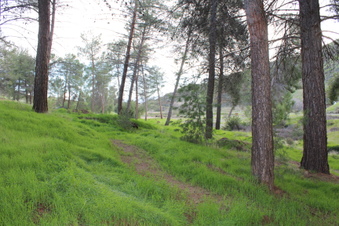 Enlarge photo 29