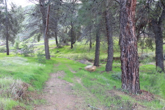 Enlarge photo 30