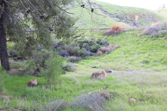 Enlarge photo 31