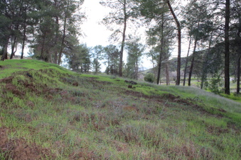 Enlarge photo 32